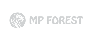 Logo Site FIles-11